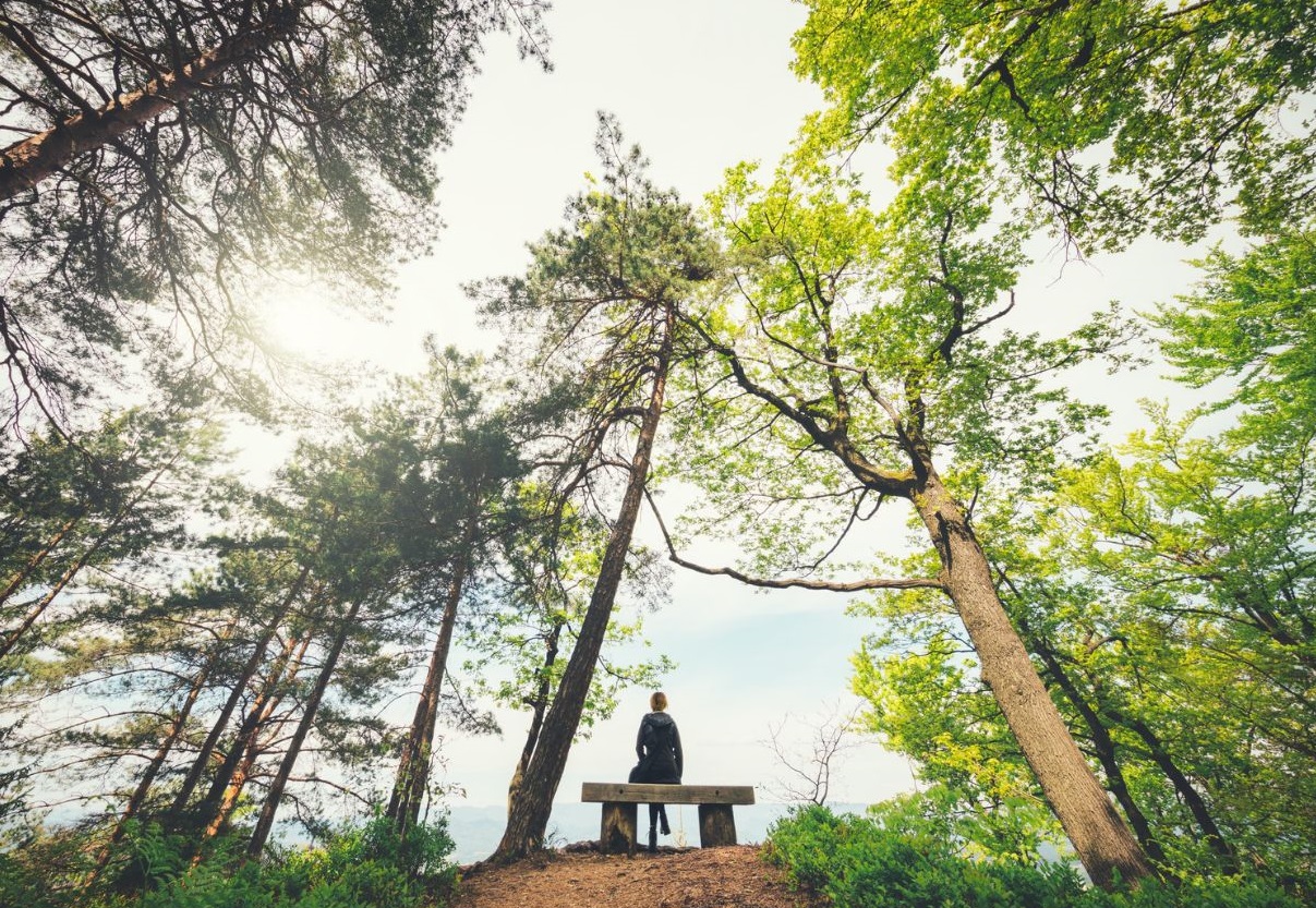 Entspannte Person auf einer Bank im Wald