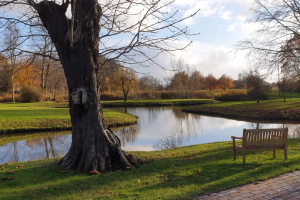 26-B-297 | Bewusst und gesund im Berufsalltag durch Yoga und interdisziplinäre Techniken - für Fortgeschrittene